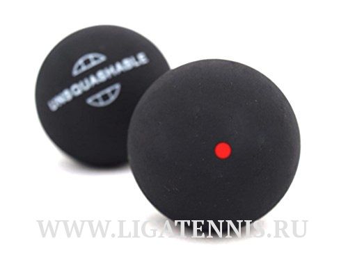 картинка Мячи для сквоша Wilson Premium Squash Ball x1 1 красная точка от магазина Высшая Лига